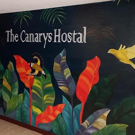 The Canarys Hostal Santa Rosa de Cabal Eksteriør billede