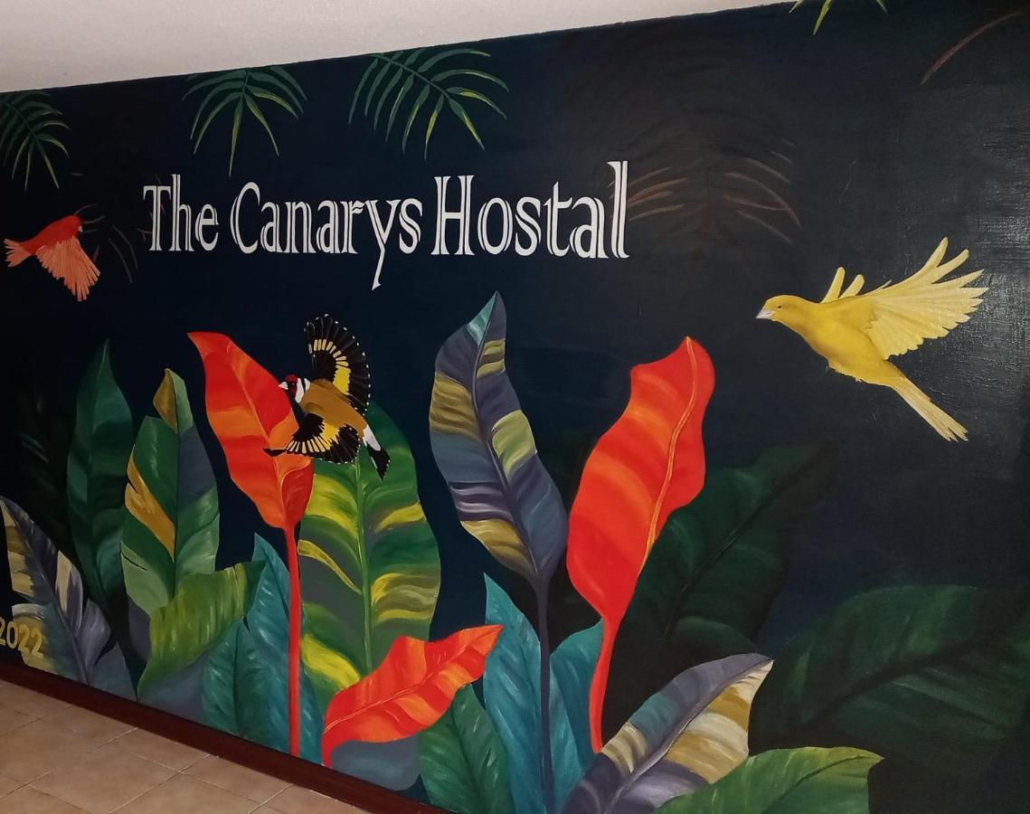 The Canarys Hostal Santa Rosa de Cabal Eksteriør billede